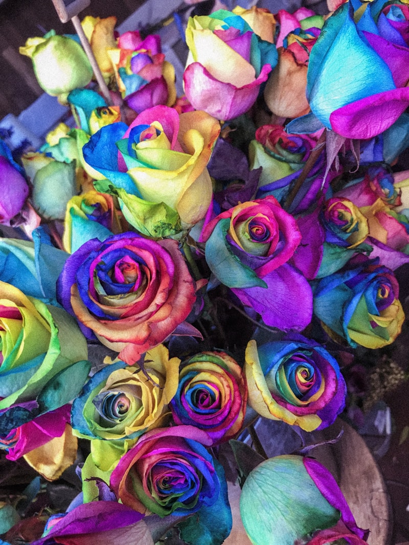 Vibrant Hybrid Roses Bed