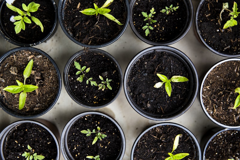 Potting & Nursery Aisle