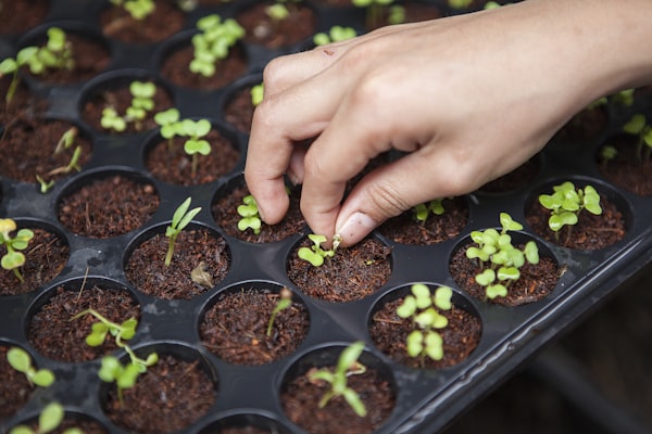 Organic Soil Unit