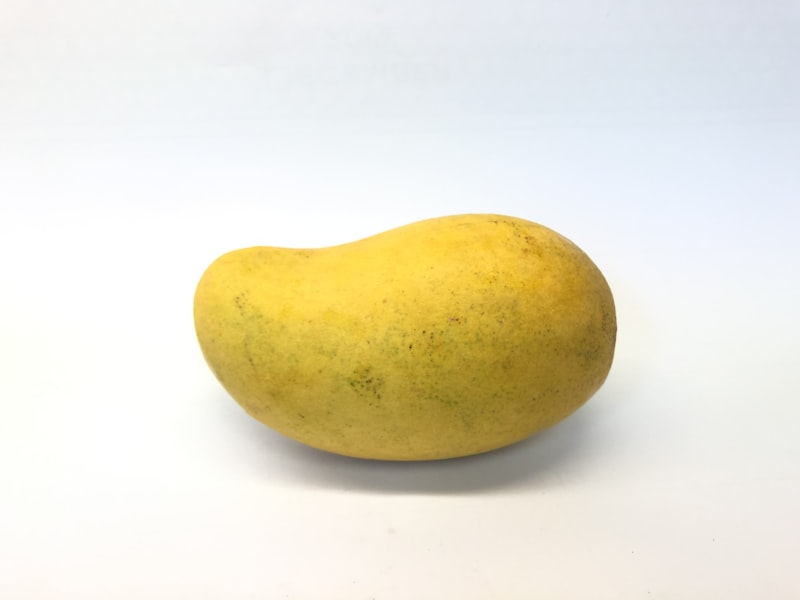 Mango Sapling