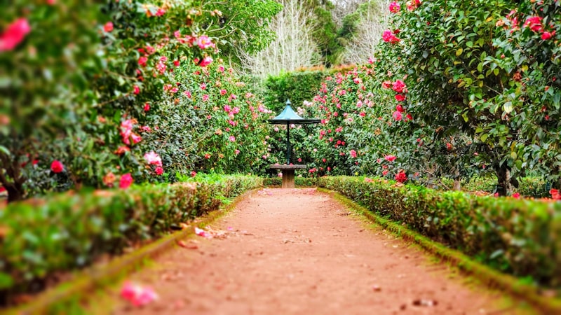 Luxury Villa Landscape
