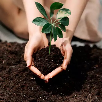 Organic Potting & Propagation